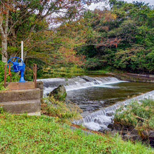 森のミネラルを運ぶ清流