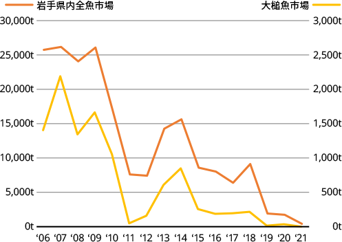 岩手県内全魚市場と大槌魚市場の鮭の魚水揚げ量グラフ