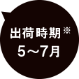 出荷時期※ 5〜7月
