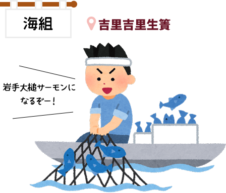 ＠吉里吉里生簀「岩手大槌サーモンになるぞー！」