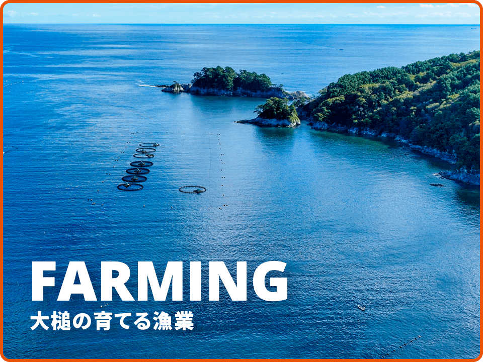 FARMING - 大槌の育てる漁業