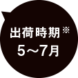 出荷時期※ 5〜7月