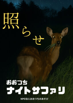 🌙 大槌ナイトサファリ ― 夜の森で“野生”に出会う体験ツアー