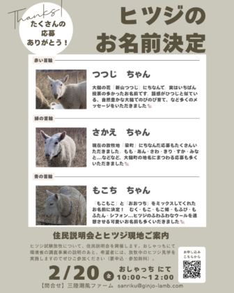 🎊ヒツジのお名前が決定しました！🎈